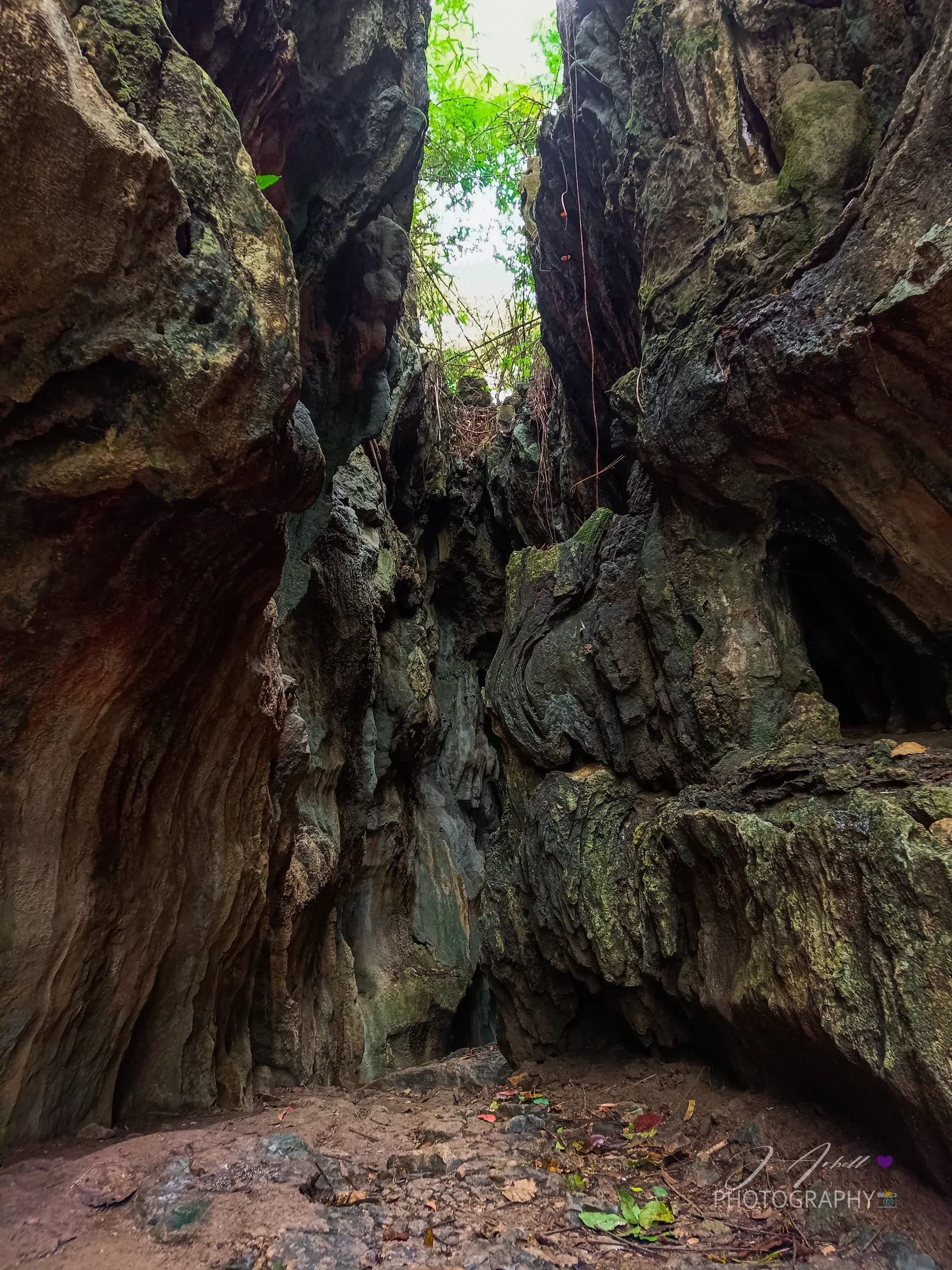 A narrow passage inside Calinawan Cave, weathered limestone walls rising to a thin strip of sky