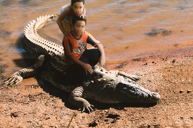Composite of two young boys sitting astride a large crocodile resting on a muddy riverbank