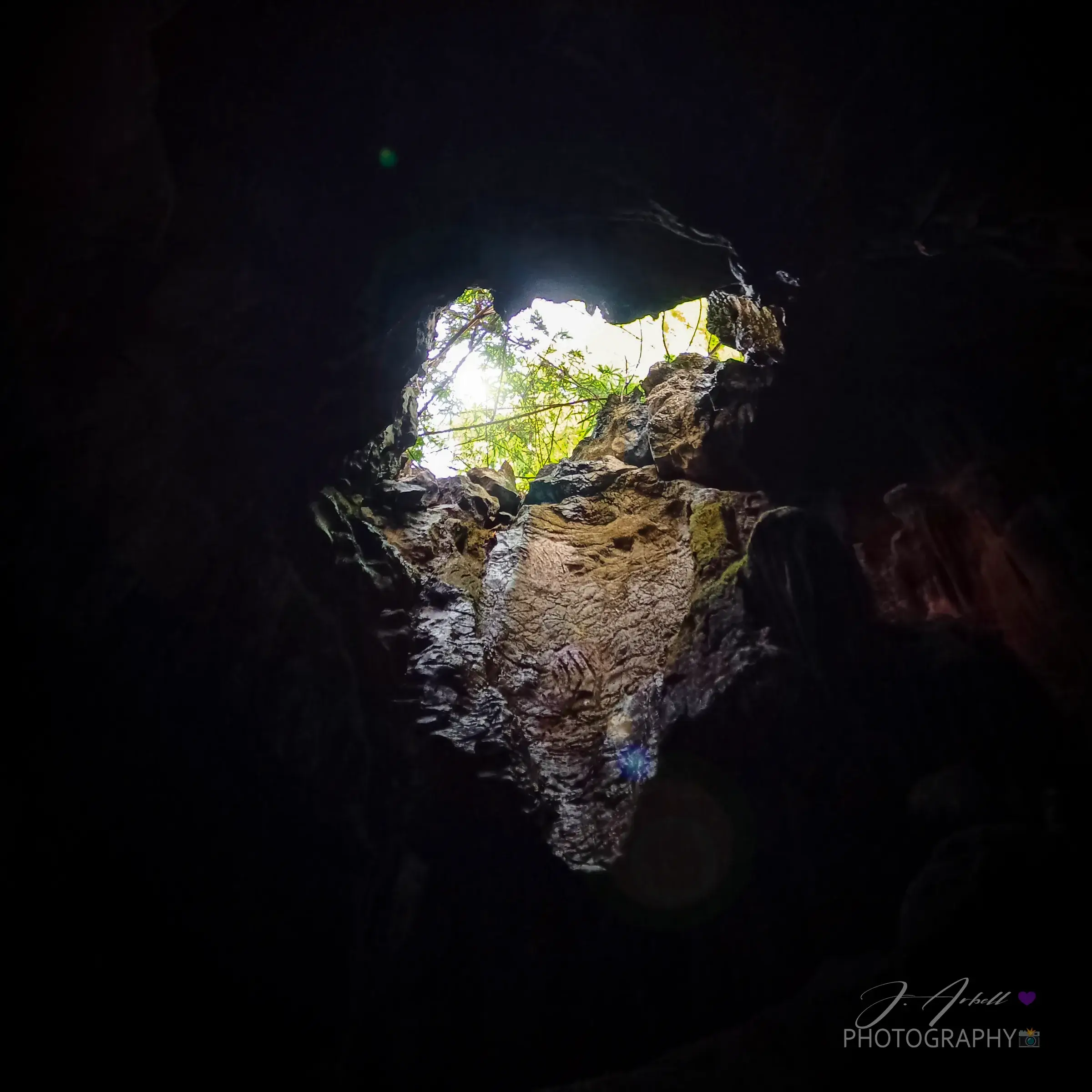 Looking up out of Calinawan Cave through a jagged opening to daylight and hanging greenery